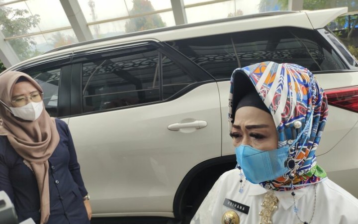 Kepala Dinas Kesehatan Provinsi Lampung Reihana saat memberikan keterangan. Bandarlampung, Kamis (3/11/2022). (ant)