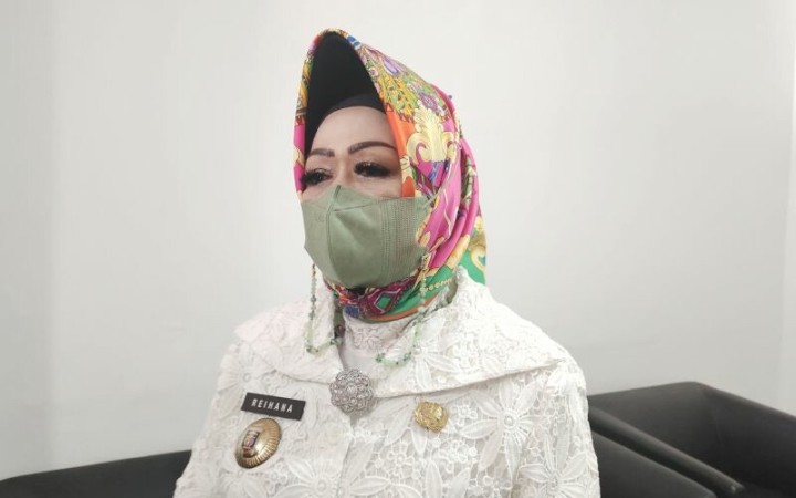 Kepala Dinas Kesehatan Provinsi Lampung Reihana. (ant)