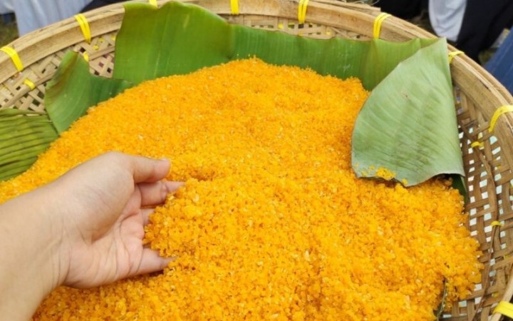 Ilustrasi- Salah satu bahan pangan lokal berupa olahan jagung asal Lampung. (ant)