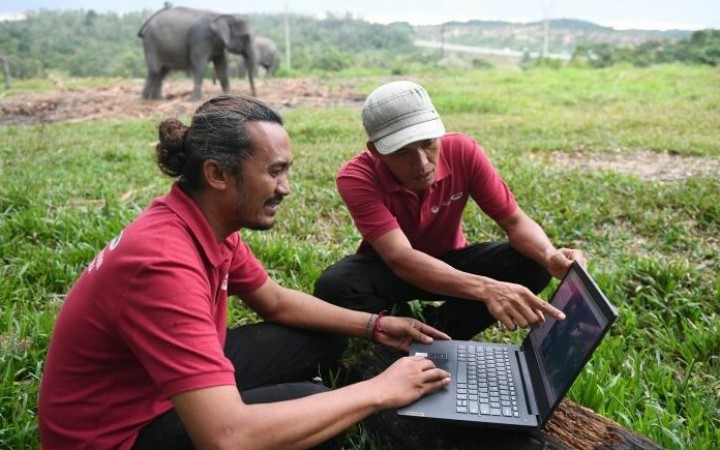 Ilustrasi - Petugas memantau pergerakan kawanan gajah liar yang telah diberikan GPS collar dari laptop di Pusat Konservasi Gajah Minas, Riau, Kamis (18/8/2022). (ant)