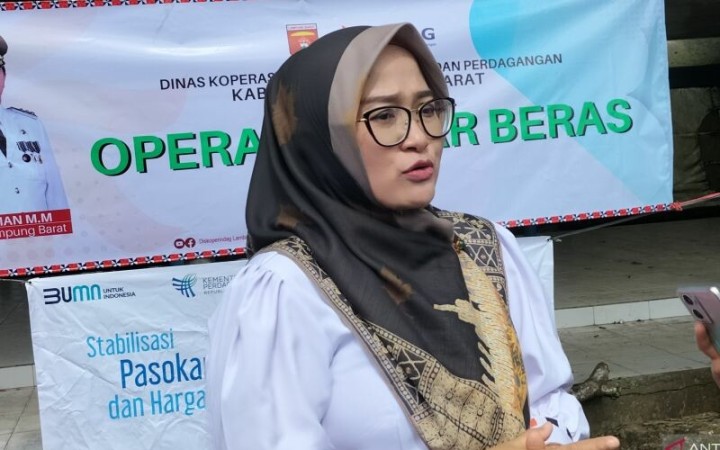 Kepala Dinas Koperasi dan UMKM, Perindustrian dan Perdagangan (Diskoperindag) Kabupaten Lampung Barat Tri Umaryani. (ant)