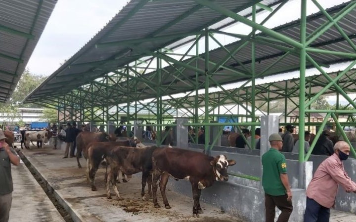 Kondisi Pasar Hewan Terpadu Pengasih di Kabupaten Kulon Progo (foto: ant)