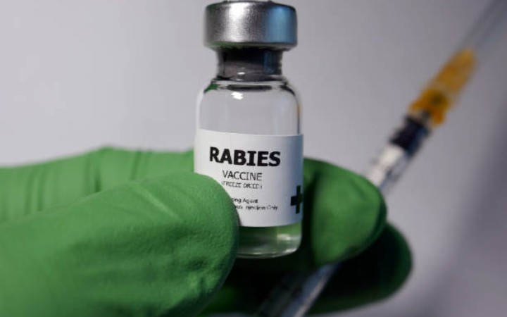 Ilustrasi vaksinasi rabies (foto: gemabali/ istock)