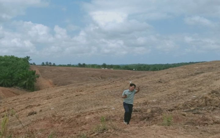 Lahan yang disiapkan Badan Bank Tanah di Kabupaten Penajam Paser Utara, Kalimantan Timur, untuk lokasi pembangunan Bandara Kota Nusantara (foto: ant)