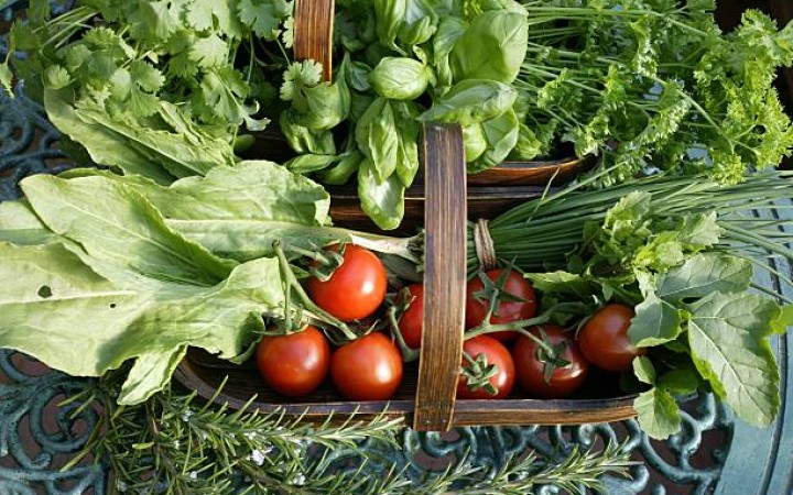 Ilustrasi- Sayuran Sehat (foto: gemapos/istock)