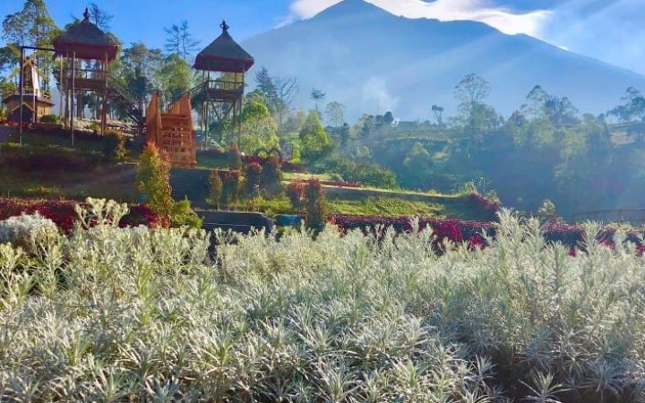 Taman Edelweis Bali (foto: gemabali/ig:@tamanedelweisbali)