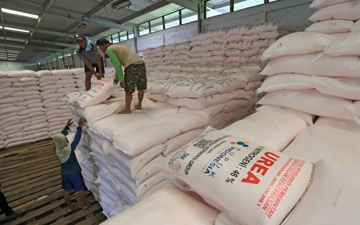 Guna menghindari terjadinya kelangkaan pupuk, PT Pupuk Indonesia siapkan 293 ton pupuk subsidi untuk petani di Bandar Lampung. (foto:beritalampung)