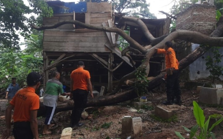 Akibat angin kencang warung makan di Bandar Lampung ambruk tertimpa pohon tumbang. (foto:beritalampung)